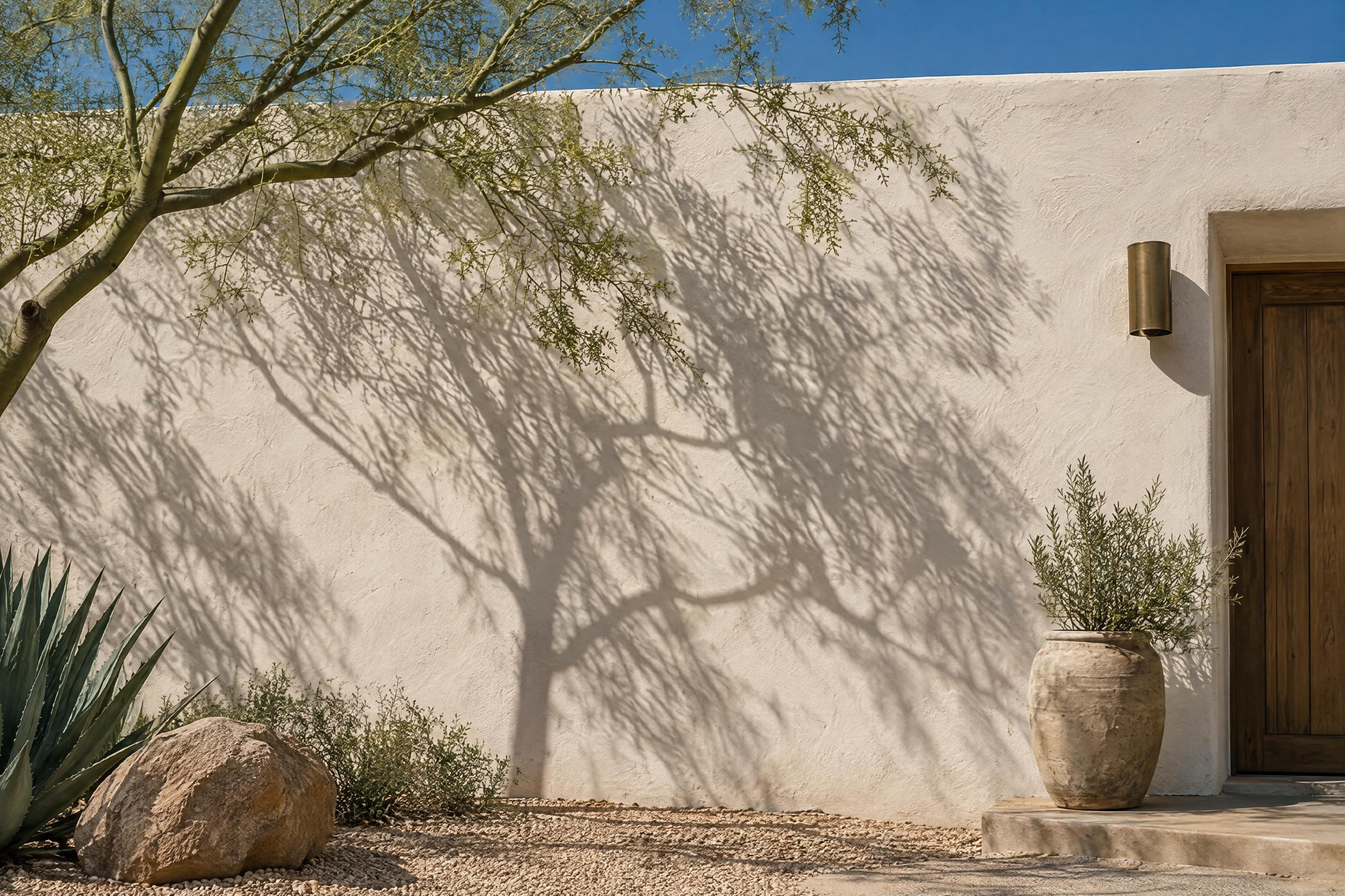 Noon sun on the limewash wall outside, with an olive tree in a clay urn by the door